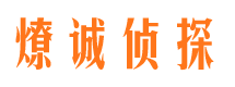 叶城市调查公司